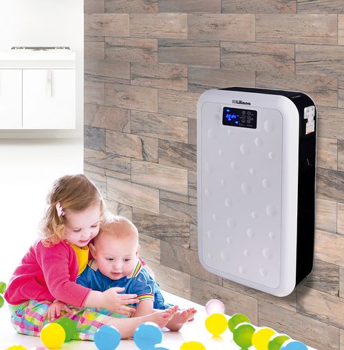 Calefactor Eléctrico Tecnodigitalhot Autohot